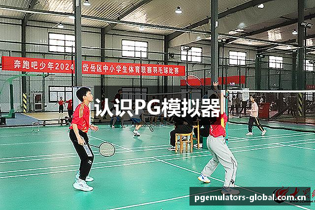 认识PG模拟器